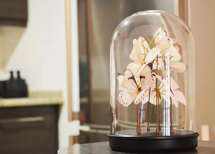 Encanto Plaza De Espana Lägenhet Tarazona